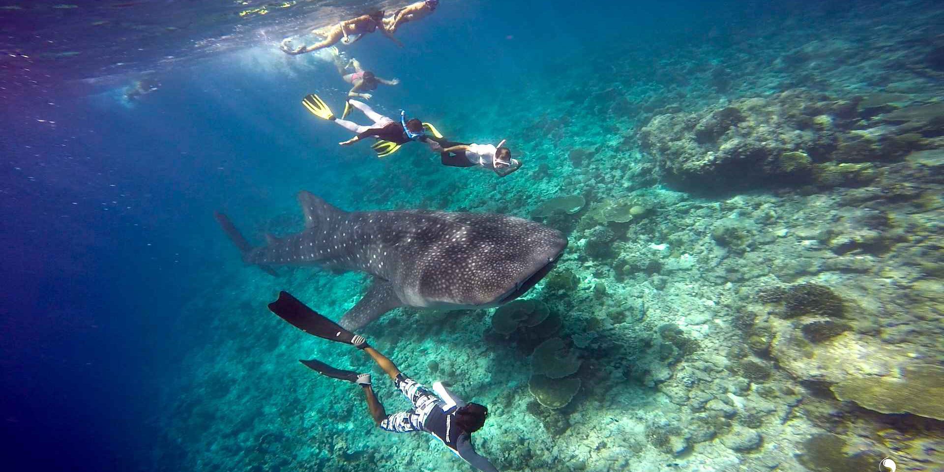 Activities_5 off the beaten track scuba australia