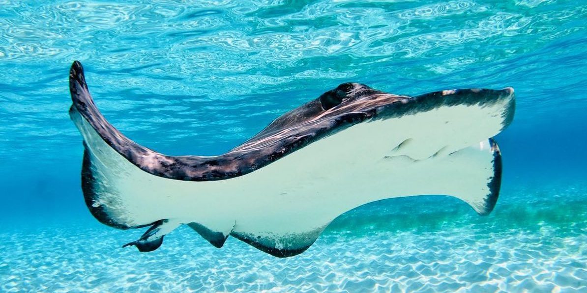 118293328_10164006453075627_8714014475866804893_n