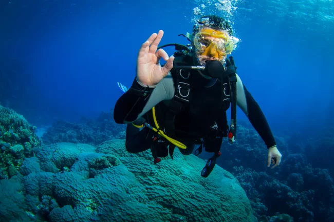 PTSDDiving