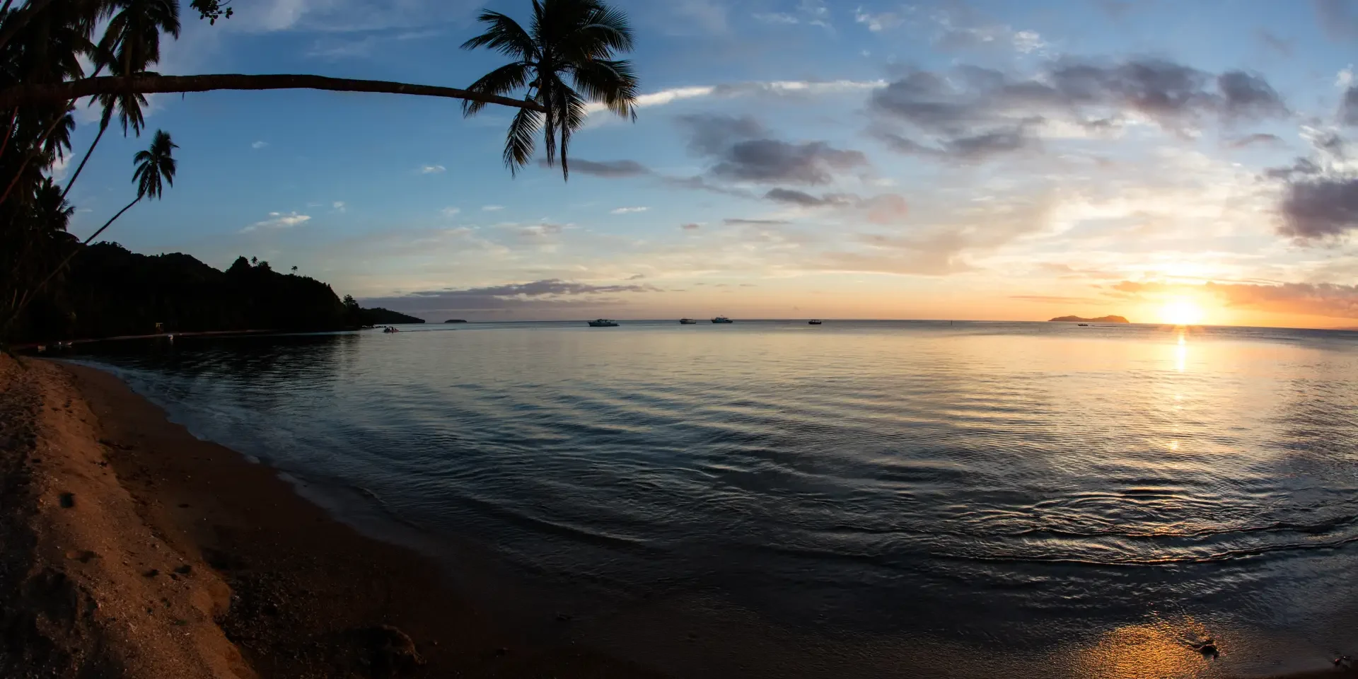 FijiBeqaLagoon shark diving Fiji