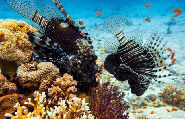 DSCF8160-scaled-e1686405247164