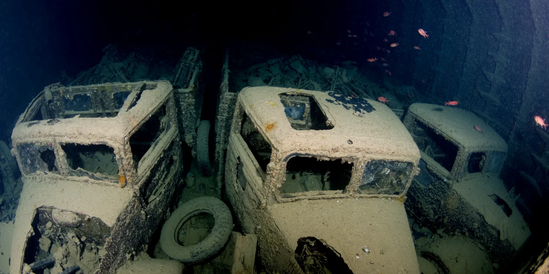 Thistlegorm4